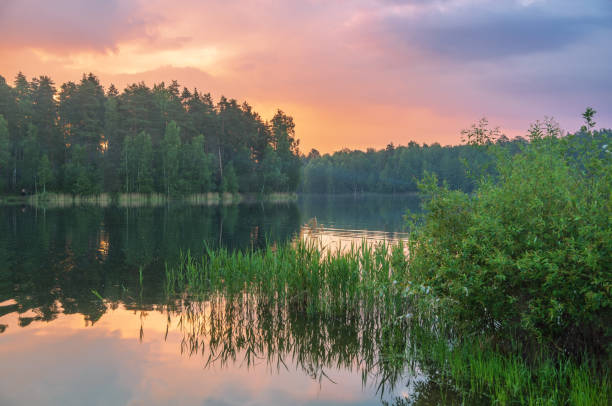 istock Sunset around the summer lake 1917878805