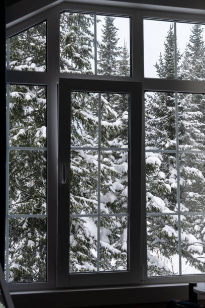 istock View from the window of  winter trees 1917884072