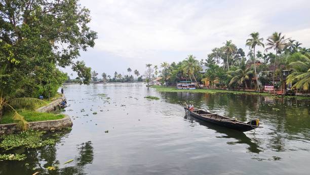 istock Back waters of Kerala 1917889384