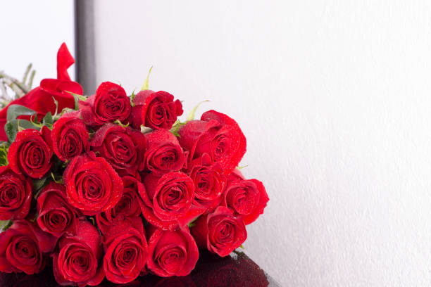красные розы в каплях воды, крупным планом, на зеркальном столе, на белом фоне. предыстория для поздравления. открытка.. - wedding reception valentines day gift heart shape стоковые фото и изображения
