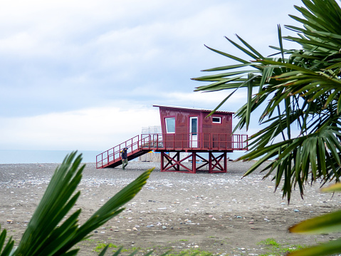 Palm trees against the backdrop of a cloudy gray sky. Rescue booth at sea in low season. Lifeguards are not working. Winter at sea.