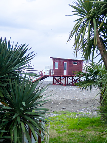 Palm trees against the backdrop of a cloudy gray sky. Rescue booth at sea in low season. Lifeguards are not working. Winter at sea.