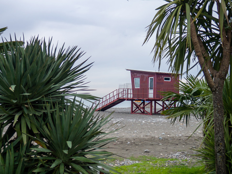 Palm trees against the backdrop of a cloudy gray sky. Rescue booth at sea in low season. Lifeguards are not working. Winter at sea.