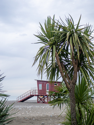 Palm trees against the backdrop of a cloudy gray sky. Rescue booth at sea in low season. Lifeguards are not working. Winter at sea.