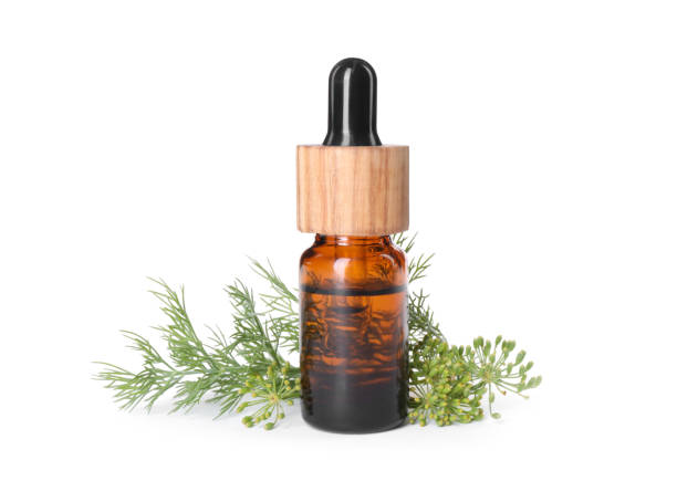 istock Bottle of essential oil and fresh dill isolated on white 1918013602