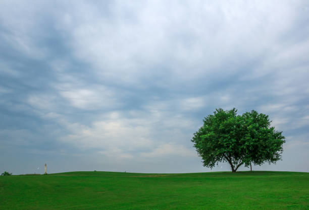 The photo was clicked during a photo walk to a golf course on the outskirts of Ludhiana, Punjab, India. The cloudy sky and greenery create a beautiful scene.