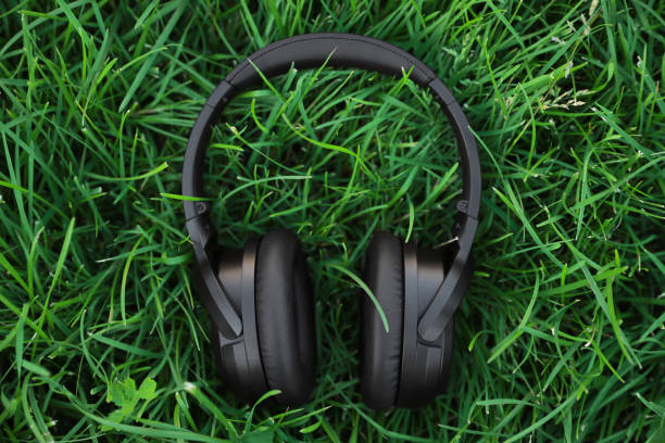 istock Black wireless headphones on green grass outdoors, top view 1918028239