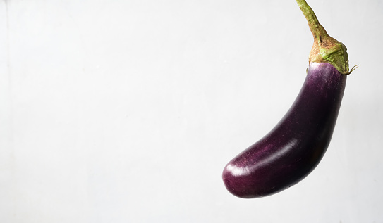 portrait of man's hand holding an eggplant isolated on white background