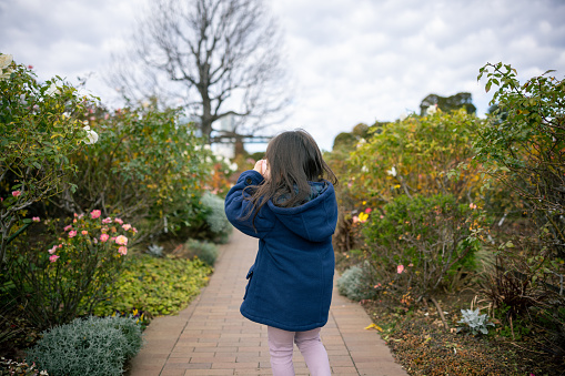 Rear view of a little girl in flower garden