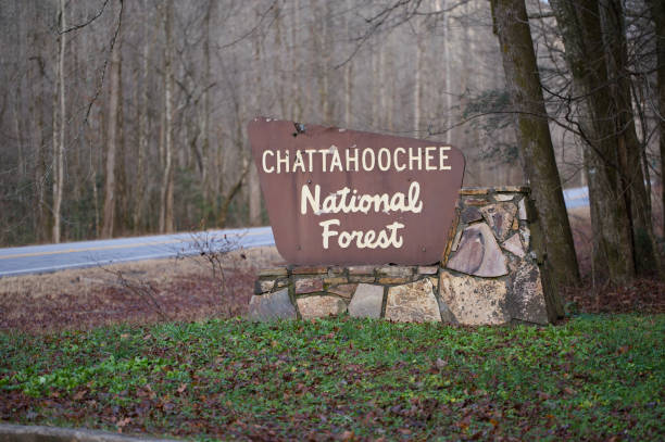 istock Chattahoochee National Forest Sign by road 1918252027