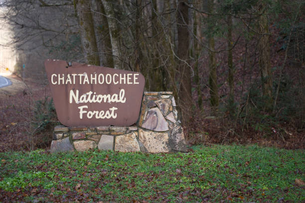 istock Chattahoochee National Forest Sign by woods 1918252028