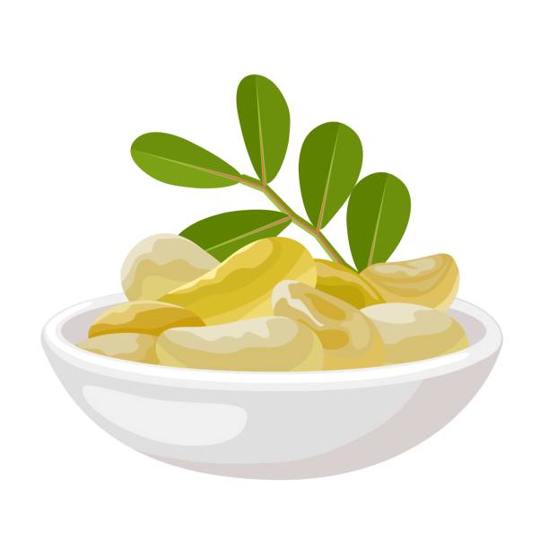 Masticate Vector 470+ Masticate Stock Photos, Pictures & Royalty-Free Images - iStock