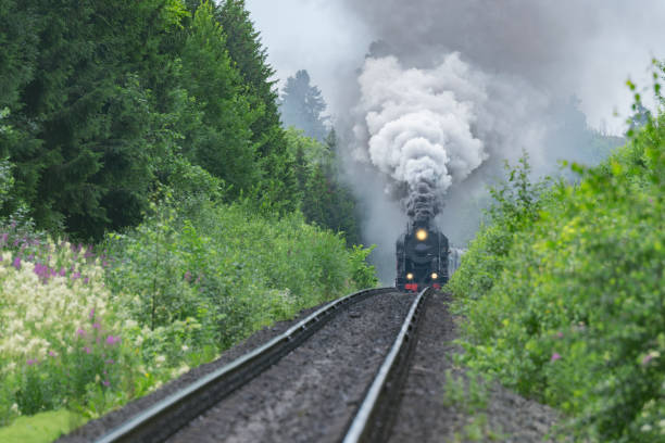 istock Retro steam train moves through the forest. 1918297534
