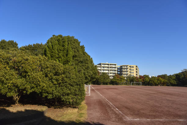 istock Sports ground on a sunny day. 1918326209