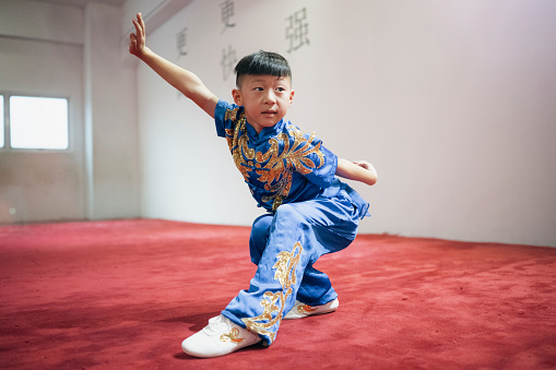 Young Chinese boy in Wushu pose