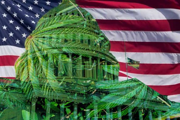 istock Legalization of Cannabis 1918371460