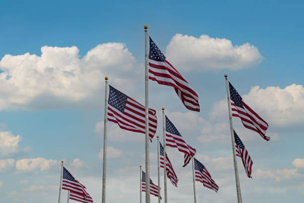 american flags in the wind - the mall sign washington monument washington dc stock-fotos und bilder