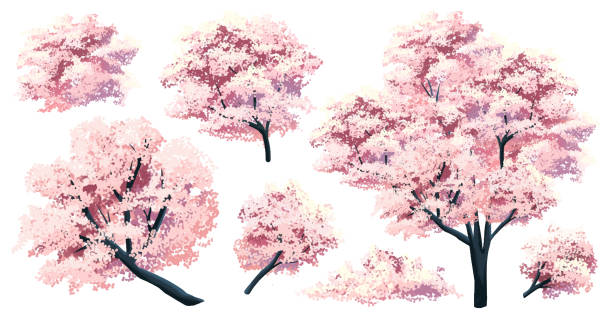 ilustrações de stock, clip art, desenhos animados e ícones de free vector japan sakura cherry branch blossom with blooming flowers design constructor - branch