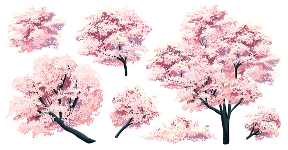 Free vector japan sakura cherry branch blossom with blooming flowers design constructor