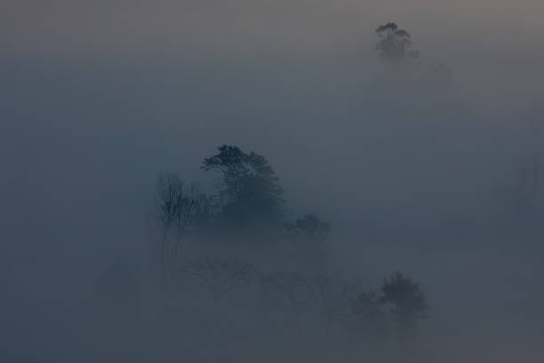 istock Foggy January misty morning. 1918500197