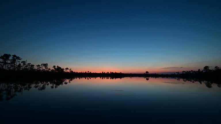 Twilight to night time lapse in Everglades National Park, Florida 4K.