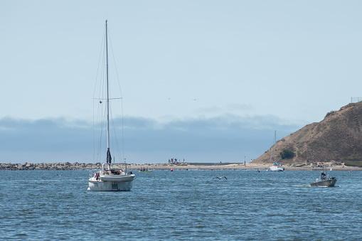 Half Moon Bay, California, USA- August 13, 2023:  Sailboat in a calm and sunny day in Half Moon Bay, California