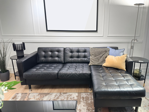 Modern living room with leather sofa set