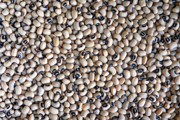 istock background of black-eyed pea. 1918605280