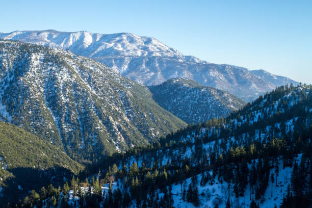 istock Big Bear Snowy Mountains 1918635918