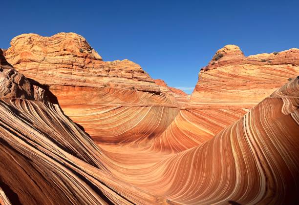 istock The Classic Shot of the Wave 1918642188