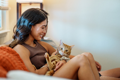 Profile view of a beautiful Eurasian woman of Pacific Islander descent bonding with her young orange pet cat while sitting on the sofa at home.