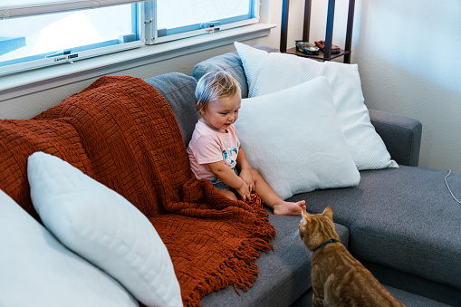 An adorable one year old Eurasian baby boy sits on the sofa at home and smiles while playing with his pet cat.