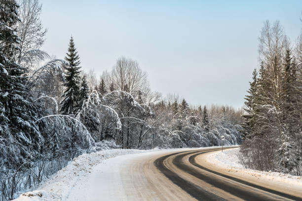 istock Suburban road through winter forest covered with snow. 1918766350