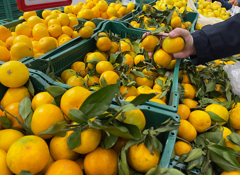 Tangerines in the marketplace. A man's hand picking up tangerines. Selective focus.