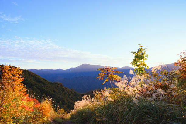 istock Morning at Shioritoge Pass 1918782264