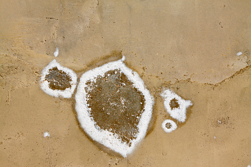 white salted texture on cement wall, closeup of photo