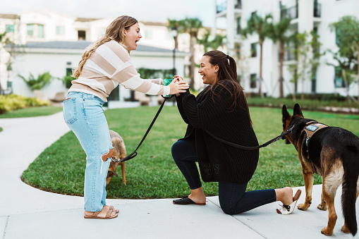 A Puerto Rican woman proposes to her Caucasian girlfriend while at the park with their pet dogs.