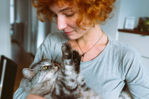 teenage girl with curly red hair, with pet, large gray striped fluffy cat, spends time together.