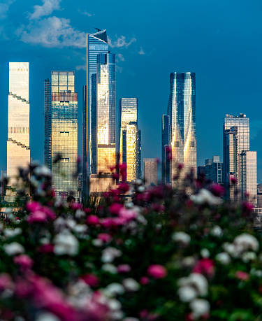Wonderful vertical photograph with flowers and the wonderful skyline in the background with the skyscrapers of Manhattan, New York City (USA).