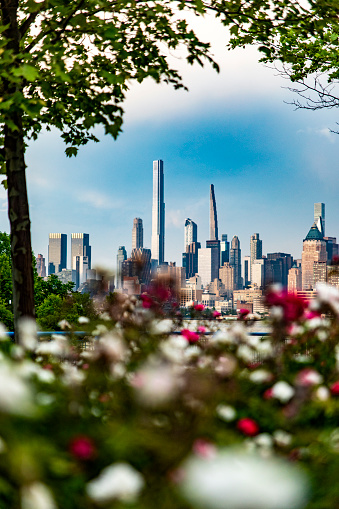 Vertical photograph with flowers and the wonderful skyline in the background with the skyscrapers of Manhattan, New York City (USA).