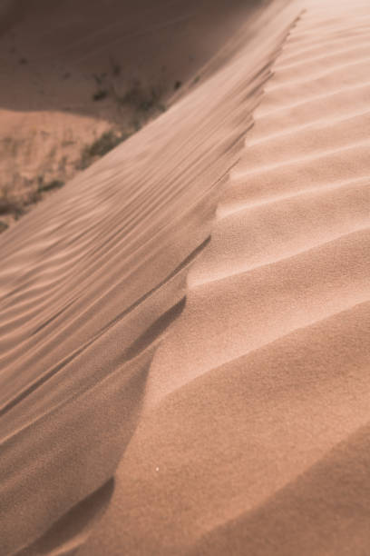 istock The background image of the sand texture created by the wind, erosion 1918865003