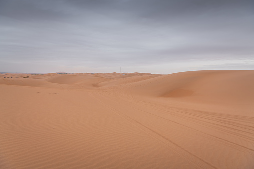 Stunning Erg Chebbi sand dunes in the Moroccan Sahara Desert at sunrise