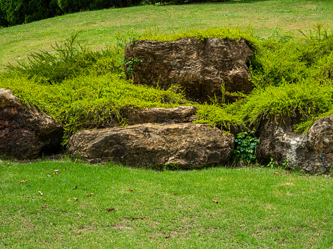 Big stones on the green grass in the park