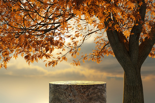 Abstact 3d render Natural background,  Stone podium under the big tree, Backdrop sunset, sky, sun and clouds for product display, advertising, cosmetic, mockup or etc