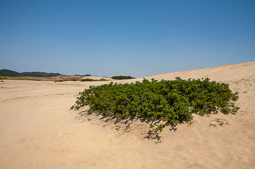 Large beach in the Langebaan lagoon in the West Coast National Park in South Africa