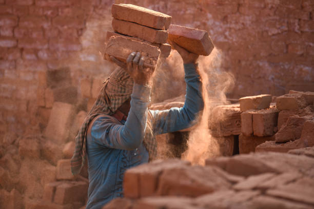 At a brick kiln in Bhaktapur, Nepal, a migrant laborer from Bihar, India, balances bricks on their head. During the winter season, seasonal laborers from various parts of Nepal and India arrive to work at the kilns.