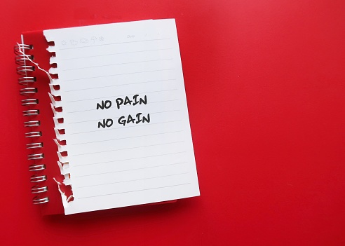 Notebook on red copy space background with handwritten text NO RISK NO RETURN, investment principle - investor is willing to take risks in order to get some financial gains