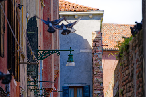 Beautiful lantern with wrought iron and doves at alley at the old town of Italian City of Venice on a sunny summer day. Photo taken August 6th, 2023, Venice, Italy.