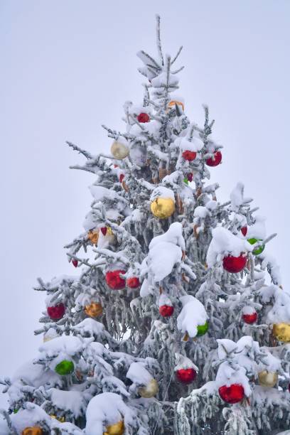 istock Outdoor Christmas tree with decorations under the snow 1918954431