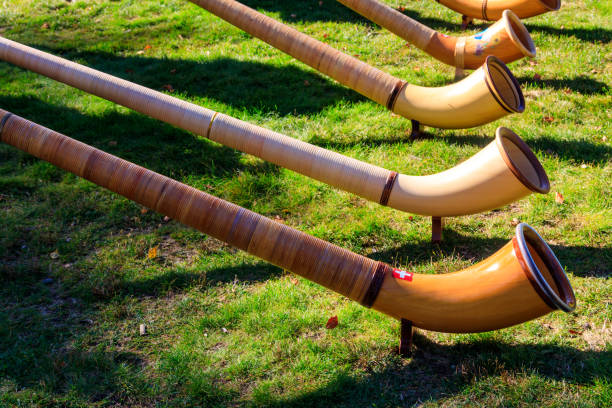 istock Alphorns laying on the grass on the alpine meadow 1918981870